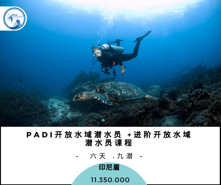 PADI 开放水域潜水员+进阶开放水域潜水员课程 CN Bali Scuba Diving, PADI Diving Course
