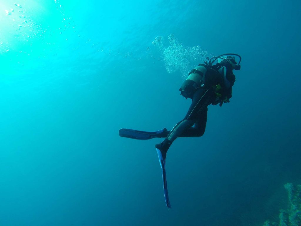 diving skills