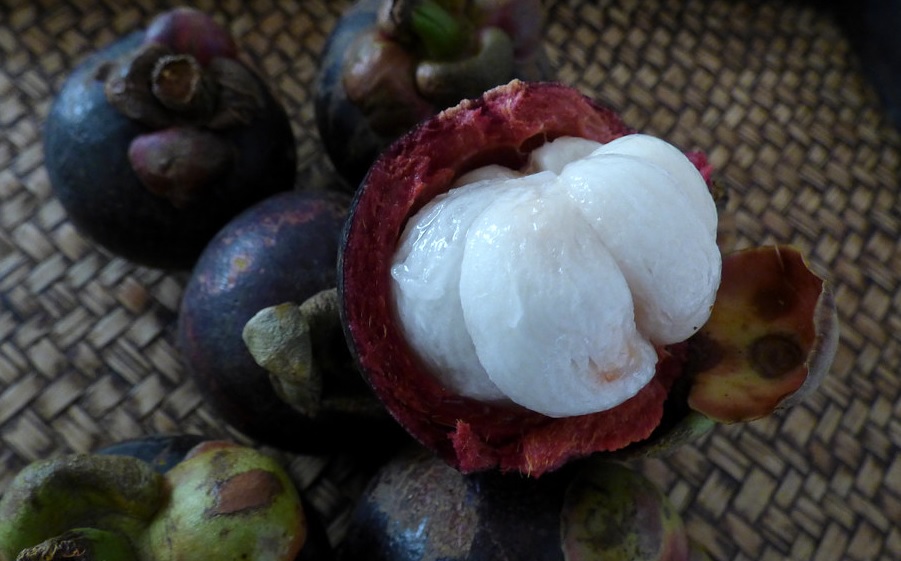 マンゴスチン（Mangostine)