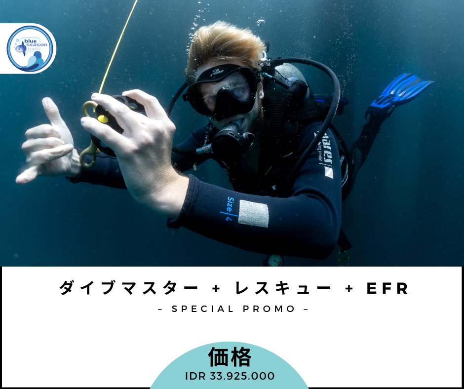 PADIダイブマスター