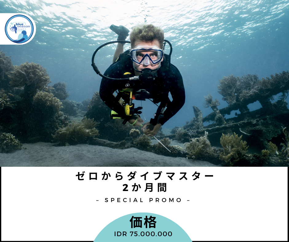 ダイブマスター