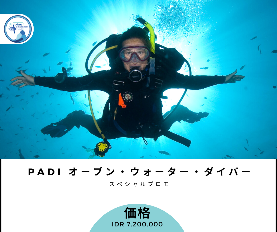 PADIオープンウォーター