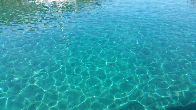 Sea Transparent Water Tranquility Transparency