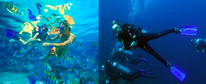 diving and snorkeling
