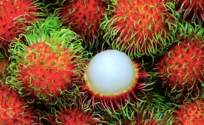 rambutan