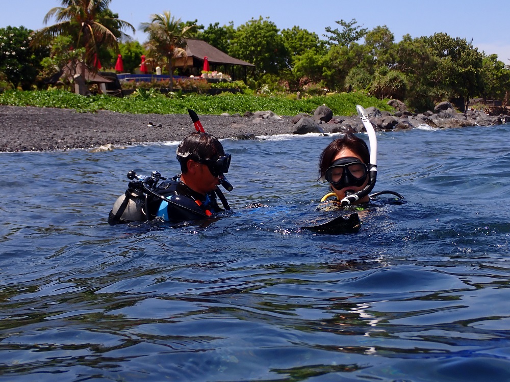 Water habits diving