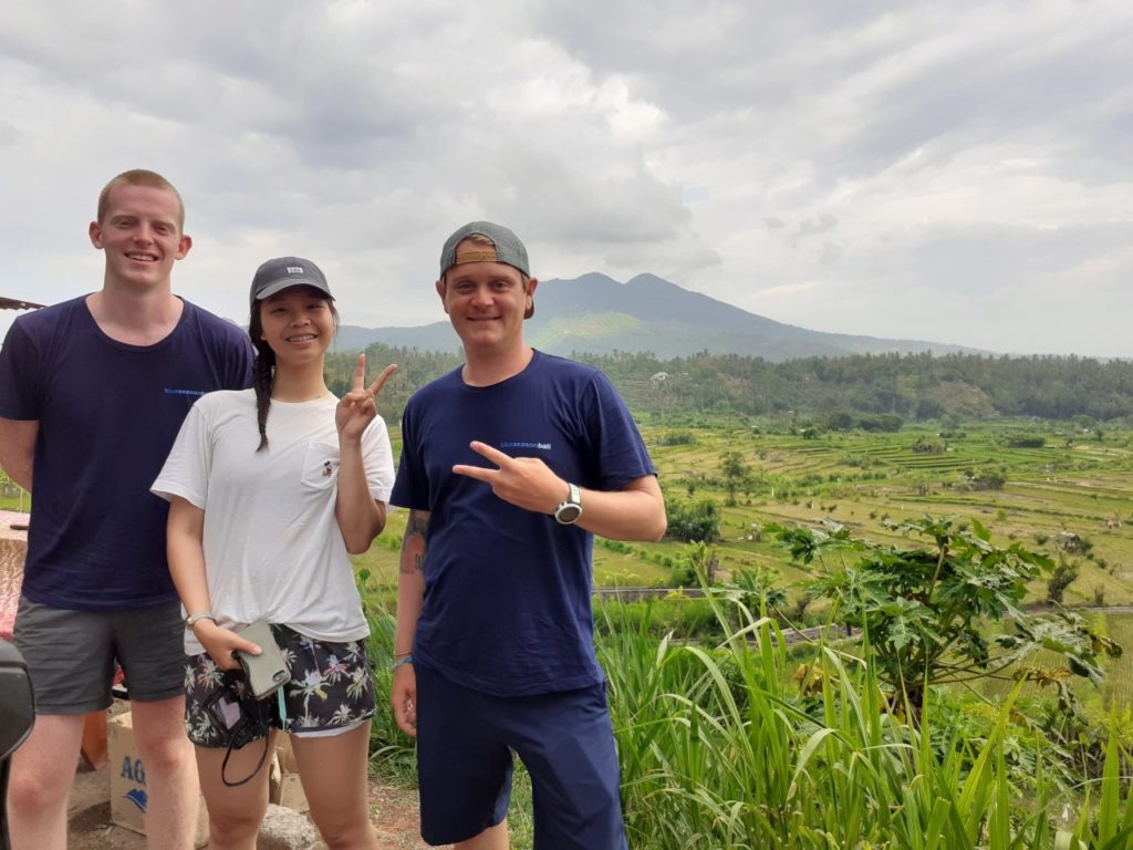 Rice terrace bali