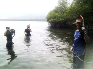 Blue-Season-Bali-Menjangan-Snorkel-Beach-Cleanup