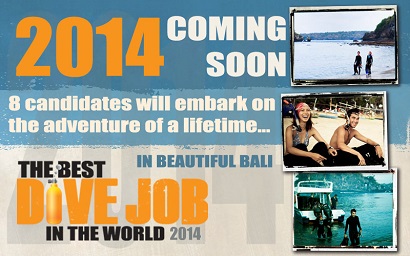 Blue Season Bali's new team member is a Manta Ray!