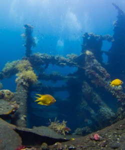 wreck dive bali