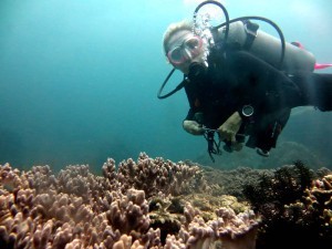 advanced open water in Bali