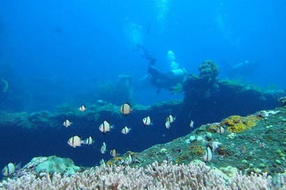 Ocean environment Bali
