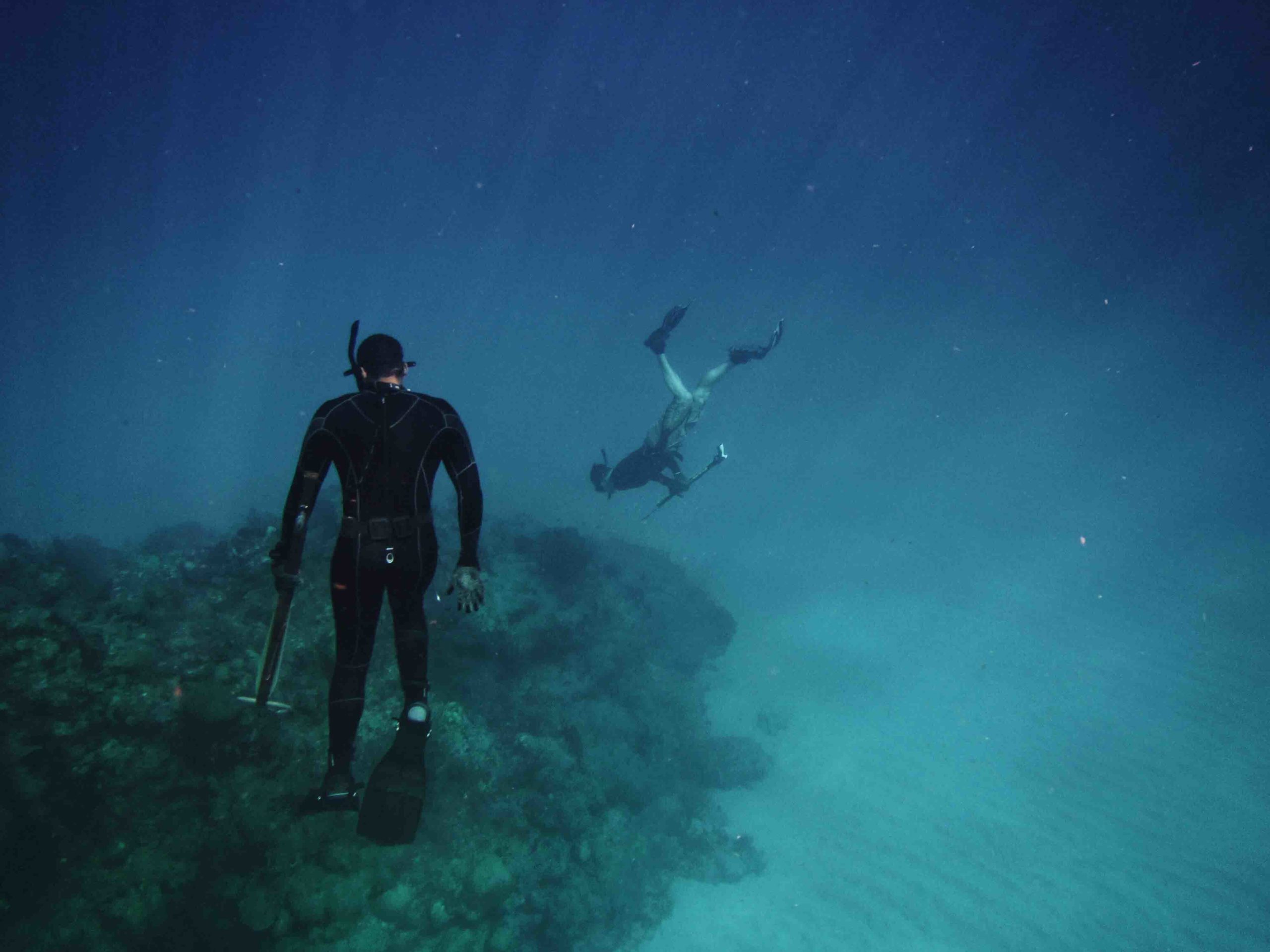 freediving