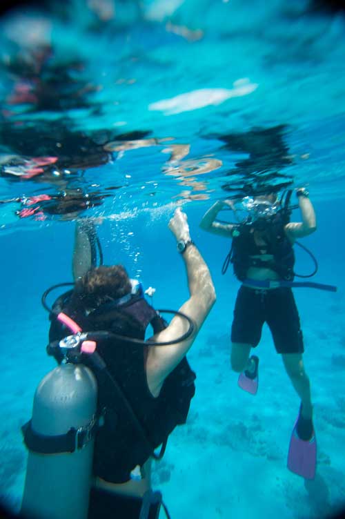 Nusa Penida Travel Guide