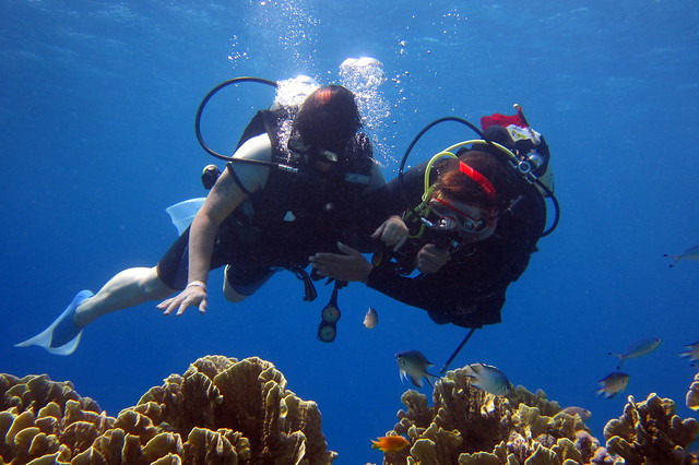 beginner scuba diver blue season bali