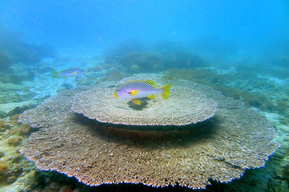 Blue Lagoon Padang Bai Bali