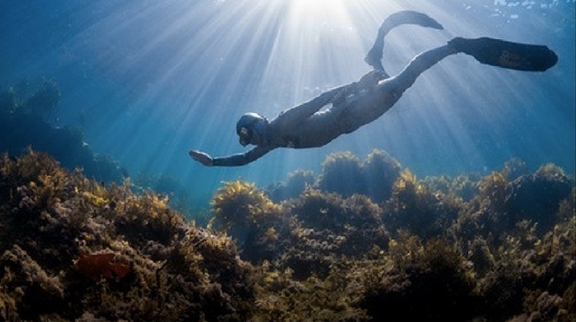 Freediving