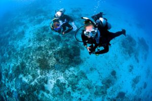 Blue season bali divers