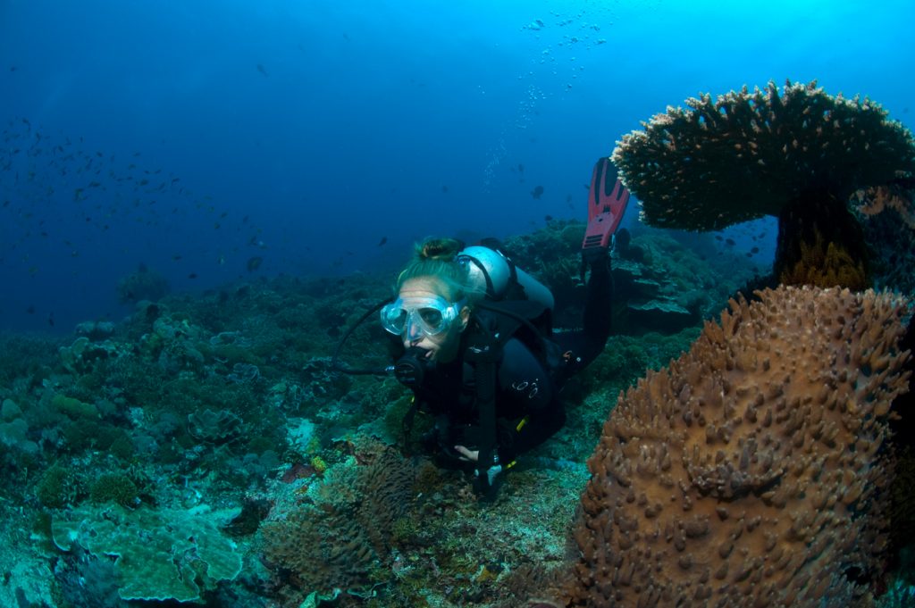 Diving Bali