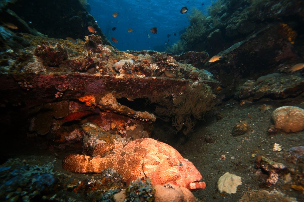 Tulamben Diving