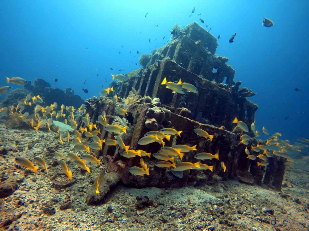 Pyramid dive amed