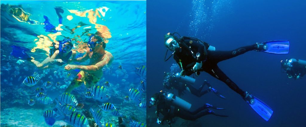 Jarra Hormiga felicidad Snorkeling vs Scuba Diving in Bali | Blue Season Bali