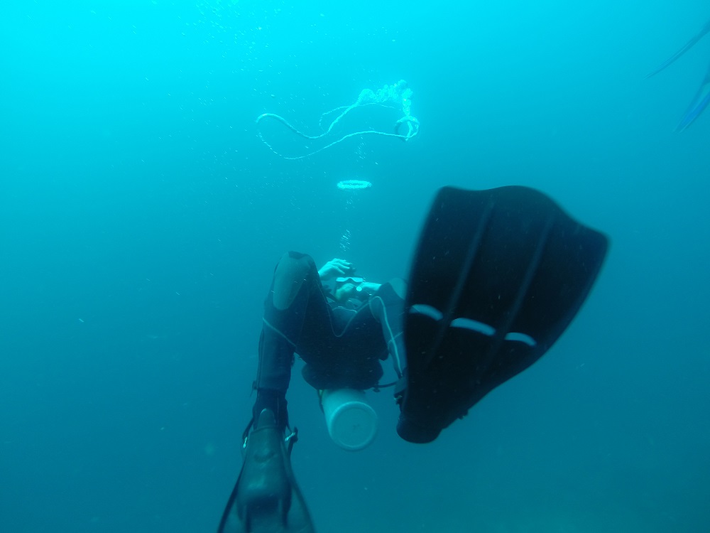 lover of the ocean in bali