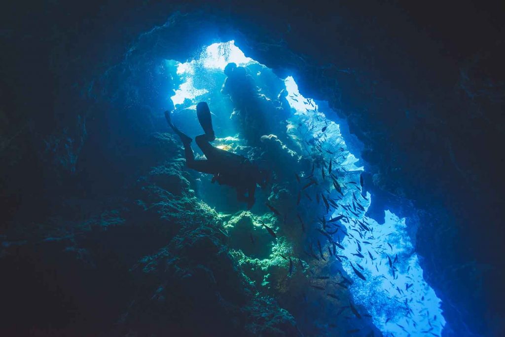 wall diving menjangan bali