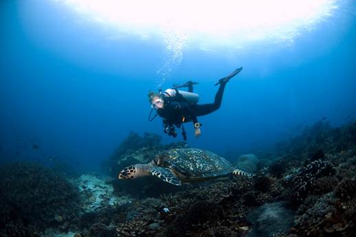 bali diving adventure