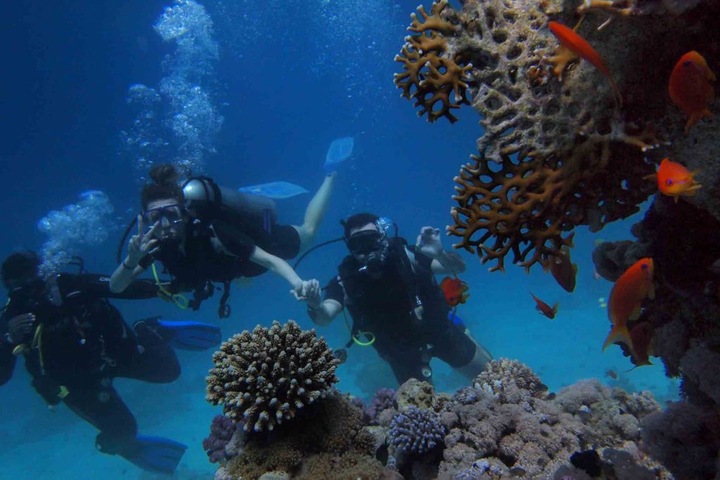 scuba diving course bali