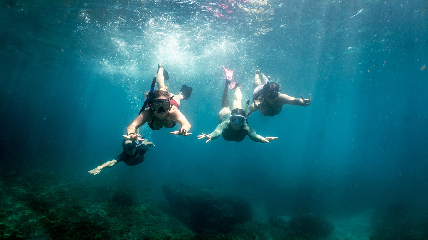 Bali Divemaster Internships