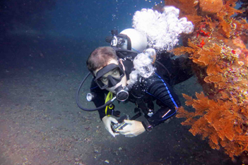 PADI Speciality Courses