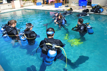 Instructor Internships Bali