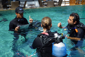 Instructor Internships Course