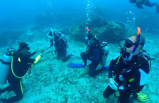 PADI Instructor Internships