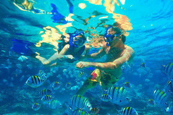 Snorkeling - Safari
