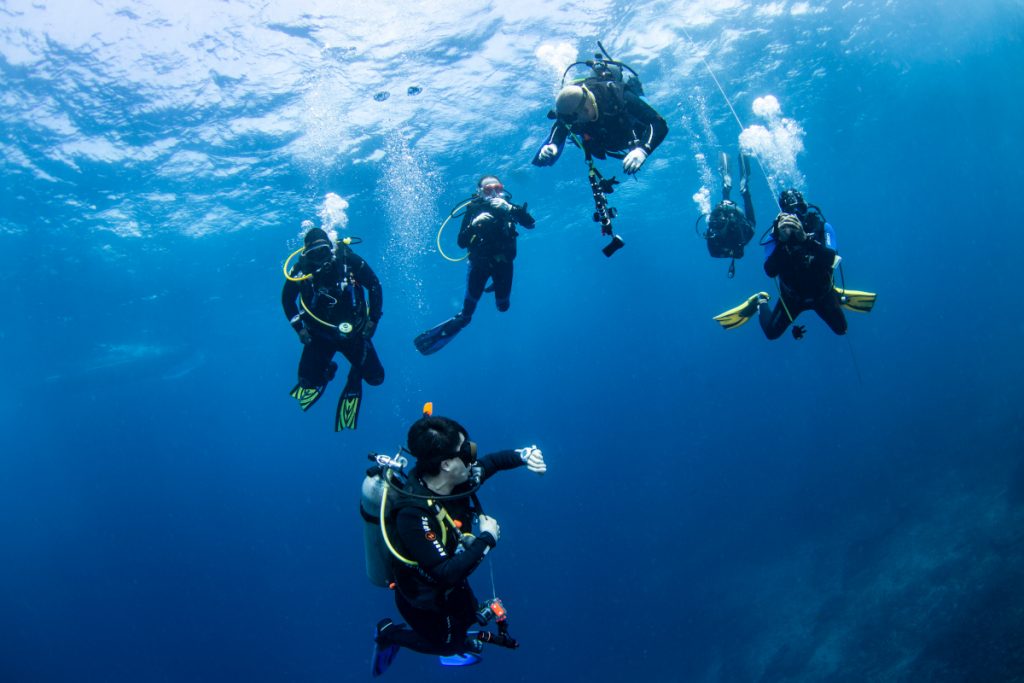 divemaster internship bali