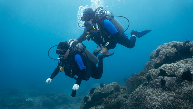 scuba diving for beginner