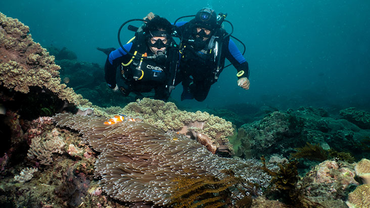 divemaster and instructor diving in Bali