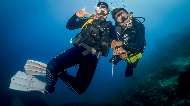 diving package diving safari