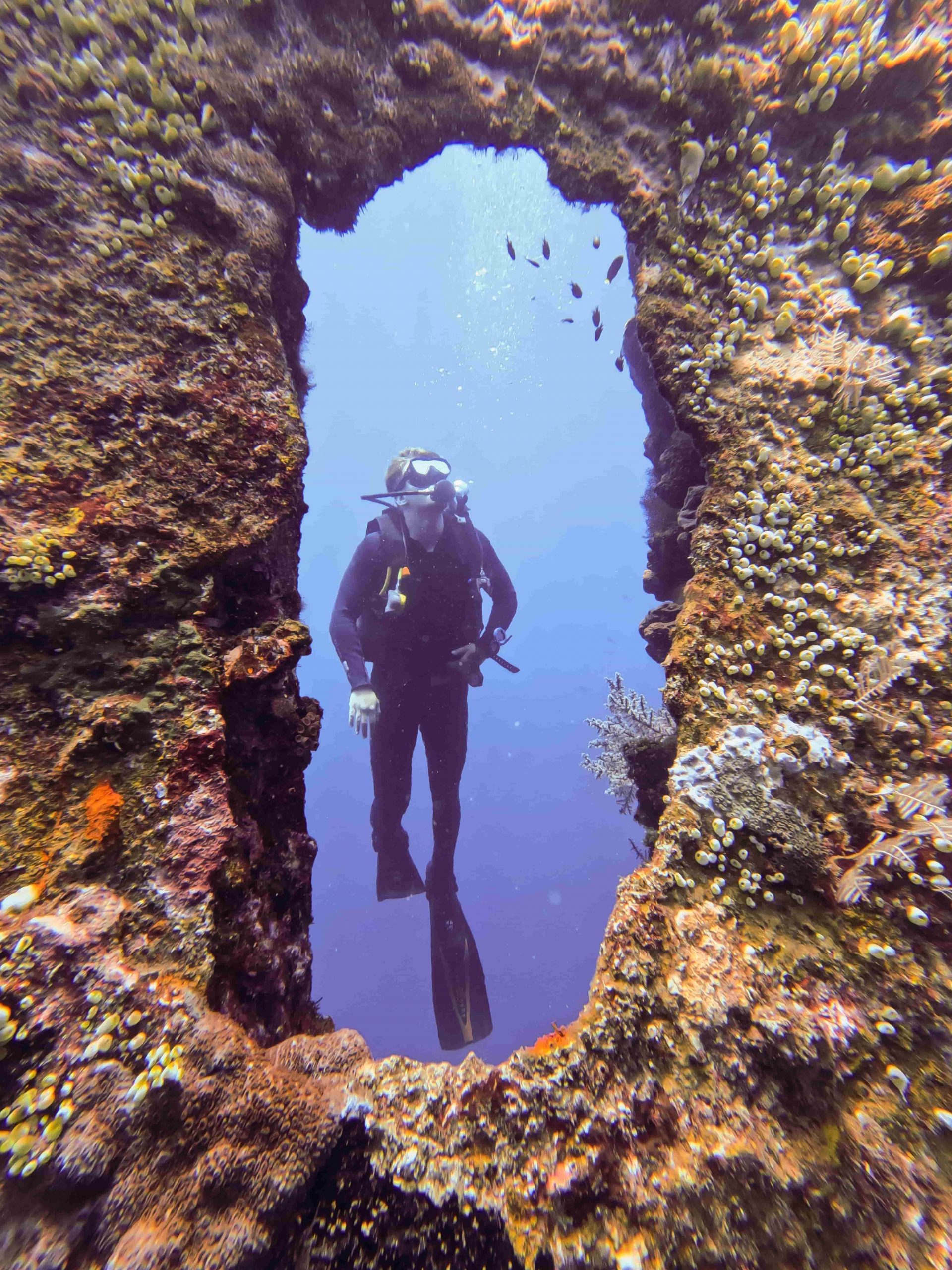 USAT Liberty Ship Wreck Dive