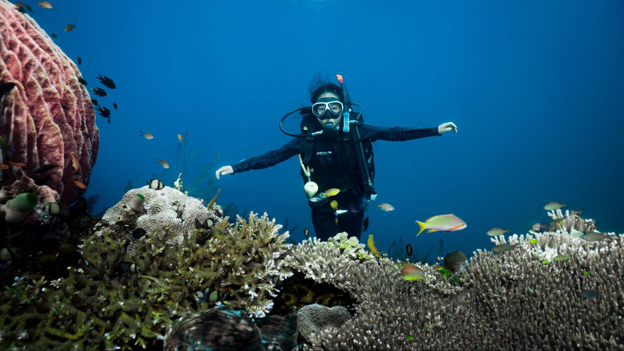 open water diving course